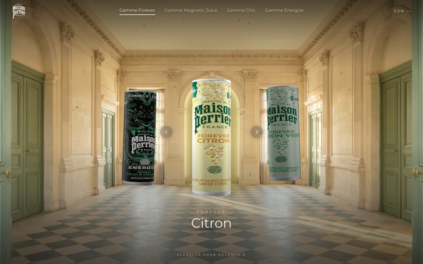 Maison Perrier, visuel 1