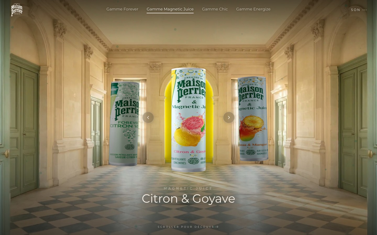 Maison Perrier, visuel 2