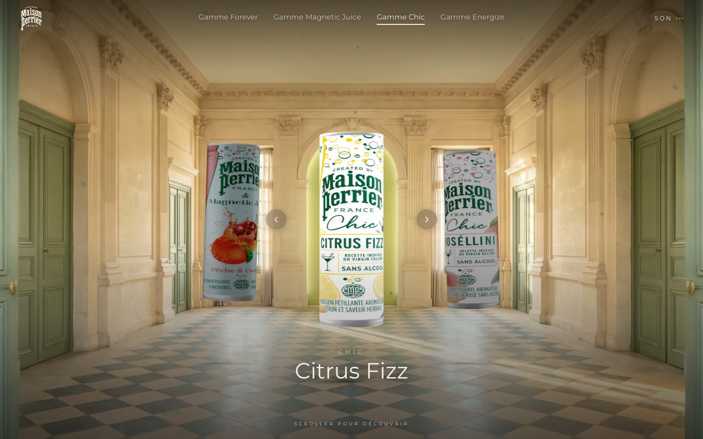 Maison Perrier, visuel 3