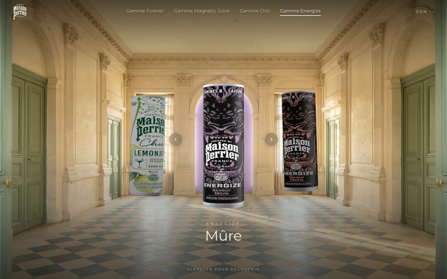 Maison Perrier, visuel 4